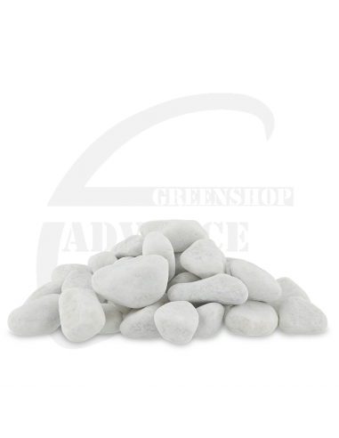 Gomme galet blanche - Creastore
