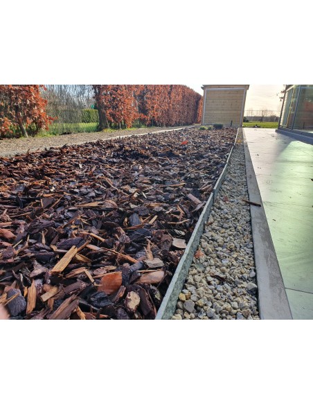 Pinus sylvester - tuinaanleg Hamme - Advance Greenshop