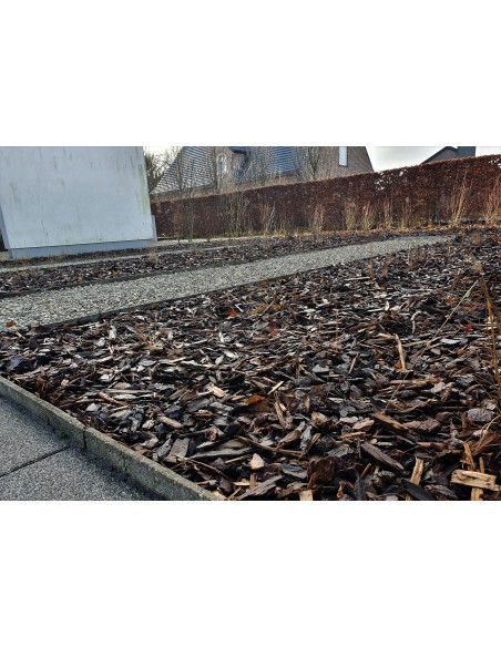 Pinus sylvester - tuinproject Hamme