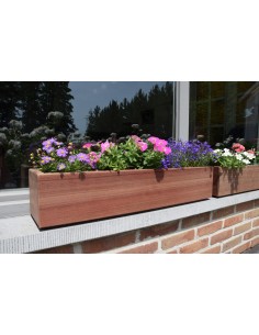 Vensterbloembak kopen - bloembakken - Advance Greenshop!