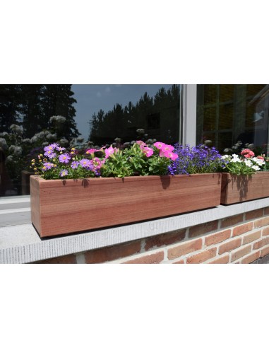 Jardinière pour rebord de fenêtre | Advance Greenshop