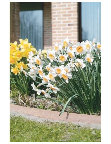 Azobe vlechtwerk losse stroken