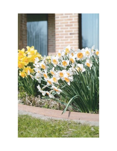 Azobe vlechtwerk losse stroken