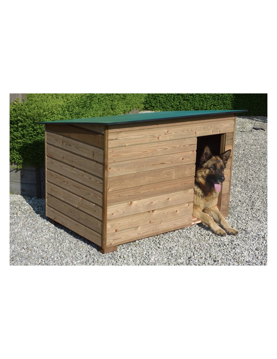 Hondenhok met achteroverhellend dak kopen - Hondenhok - Advance Greenshop
