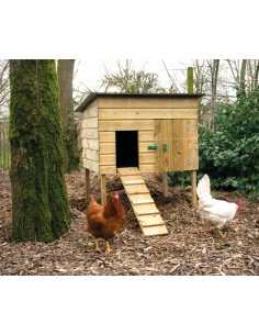Poulailler petit - Advance Greenshop