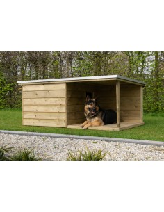 Perro hondenhok - Advance Greenshop 2