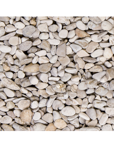 Acheter de la mignonette en vrac | Kasteelgrind Belgique