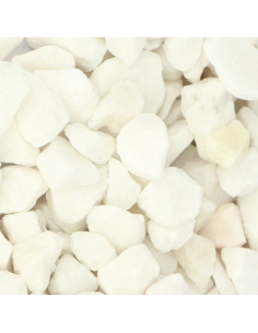 Acheter d'Aruba 3/6 mm en vrac? |gravier blanc| Advance Greenshop! 2