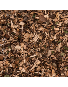 Copeaux de cime de bois...