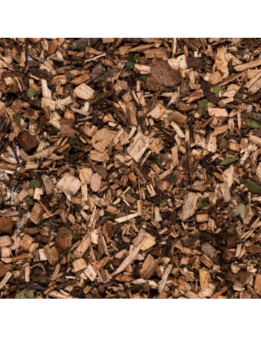 Copeaux de cime de bois feuillu  en...