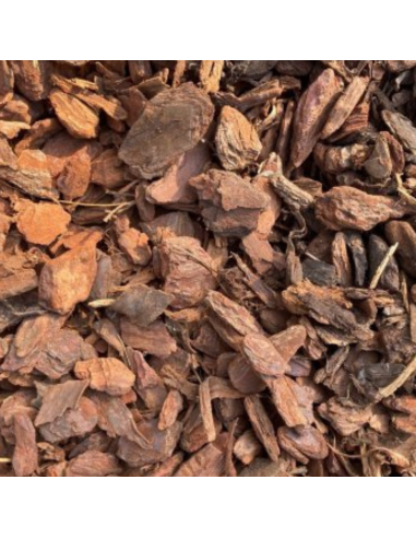 Decoratieve Résineux (Franse Schors) | Advance Greenshop