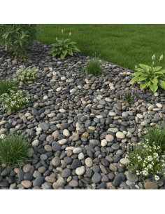 Black Pearl in big bag