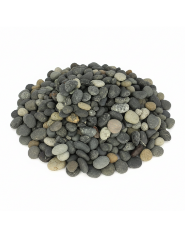 Black Pearl in big bag - Advance Greenshop