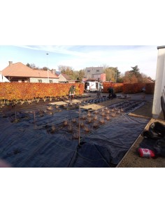 Anti-worteldoek kopen op volle rol - gronddoek - Advance Greenshop 2