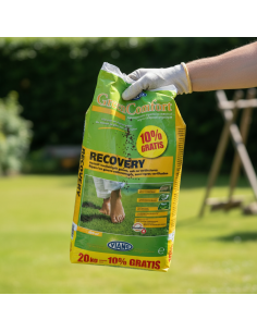 Viano GreenComfort RECOVERY – Engrais gazon réparation & enracinement | 20KG 2