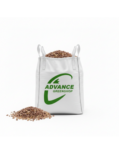 Vigne rouge 6/10 en big bag dans une allée de jardin - Advance Greenshop