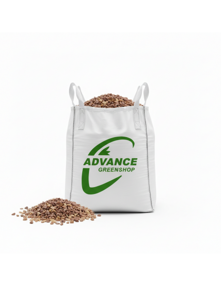 Vigne rouge 6/10 en big bag dans une allée de jardin - Advance Greenshop
