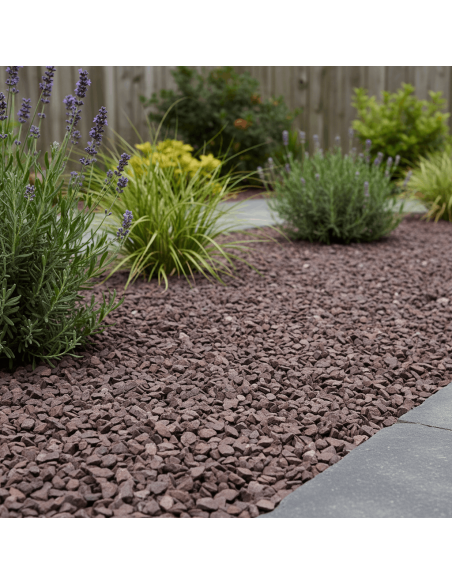 Havana - Advance Greenshop