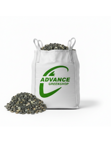 Black Pearl in big bag - Advance Greenshop