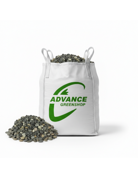 Black Pearl in big bag - Advance Greenshop