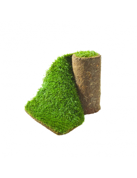 Grasmatten en graszoden kopen | Advance Greenshop