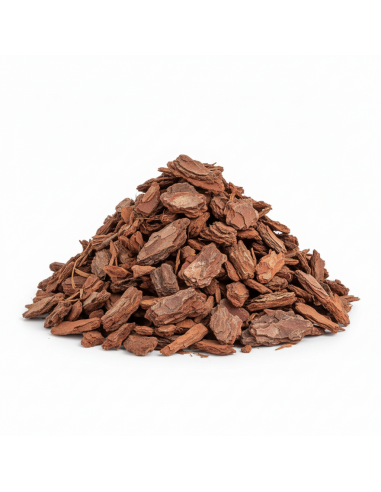 Decoratieve Résineux (Franse Schors) | Advance Greenshop