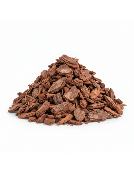 Decoratieve Résineux (Franse Schors) | Advance Greenshop