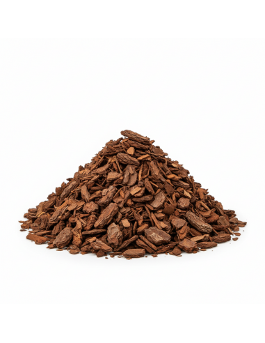 Pinus Maritima boomschors | Advance Greenshop