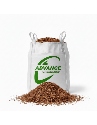 Pin sylvestre en big bag | Advance Greenshop