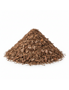 Pin sylvestre en big bag | Advance Greenshop 2