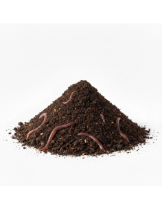 Wormencompost | Advance Greenshop