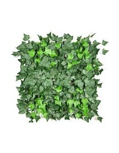 Klimop kunsthaag 'hedera' kopen - Advance Greenshop 2