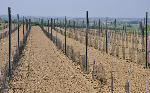 Boomstamnetjes voor Kleinwild (100 stuks) – Ø 140mm Boombeschermers tegen Vraatschade