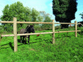 Drukgeïmpregneerde Houten Weideomheining Corral | Robuuste Paardenomheining