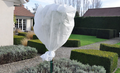 Vliesdoek Plantenbeschermhoezen 30g/m² | Vorstbescherming voor Planten & Boompjes