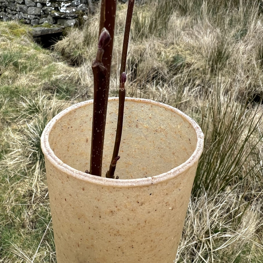 Bord arrondi du Bio Terra Tube