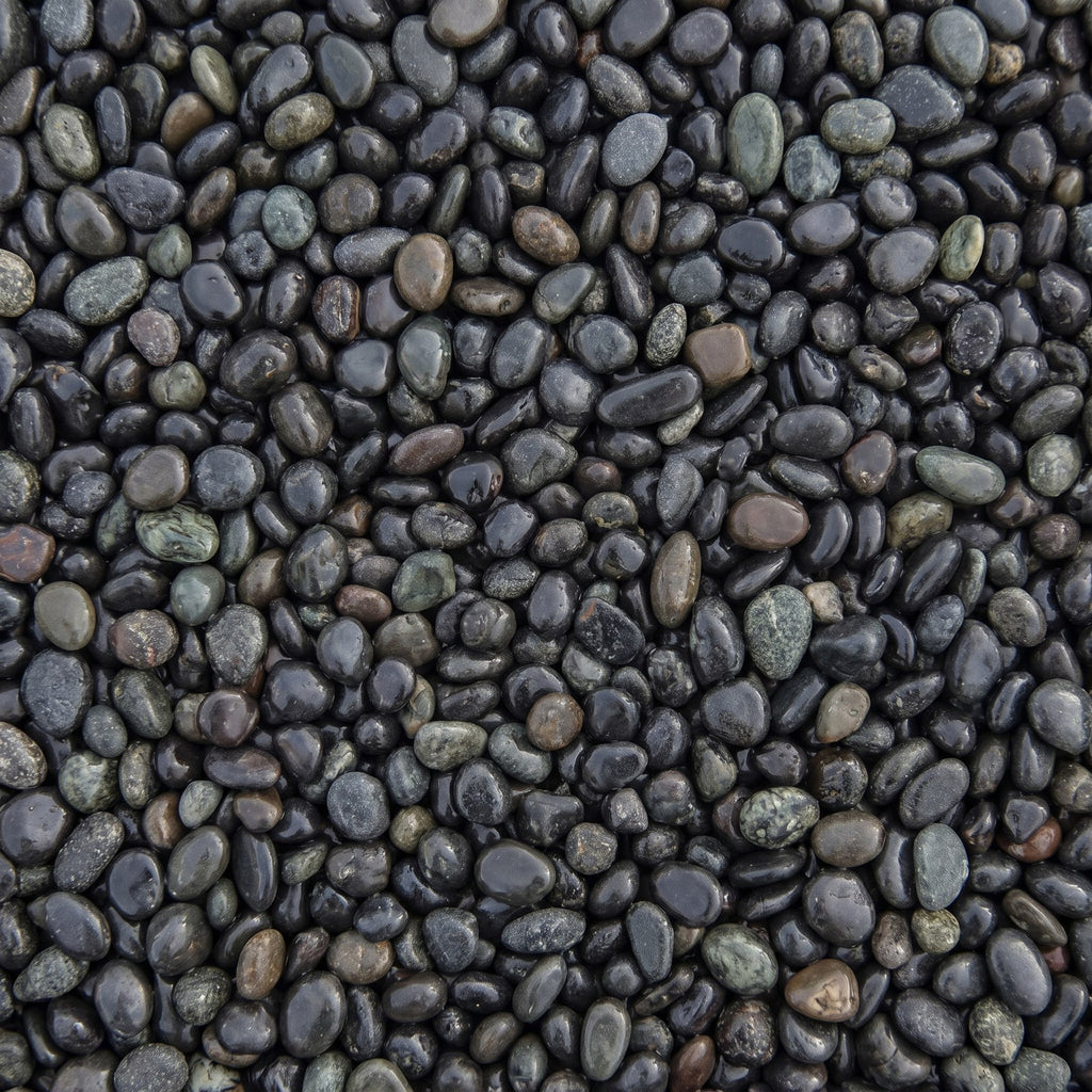 Black Pearl, los gestort