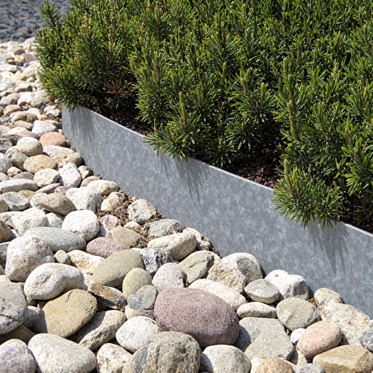 Gegalvaniseerde stalen borderrand tussen grind en beplanting