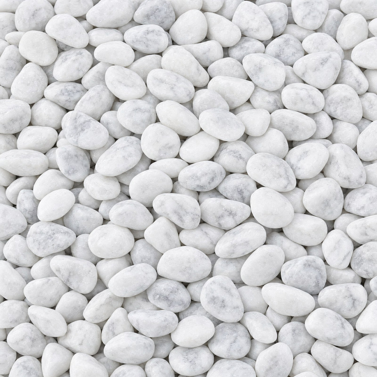 Galets de marbre blanc de Carrare 15/25 mm