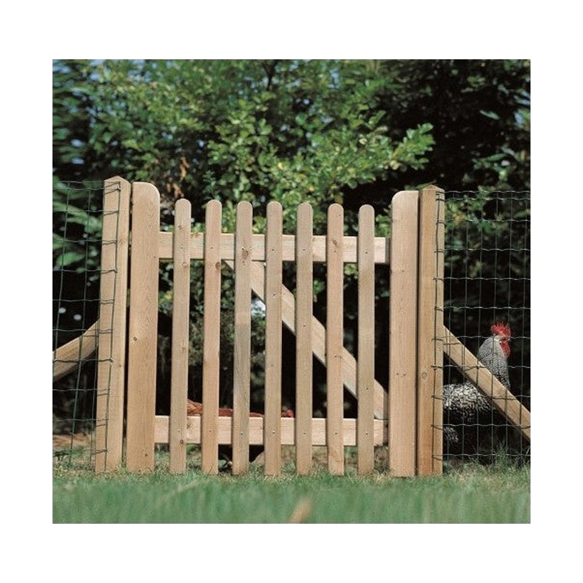 Grenen tuinpoort Decoratief