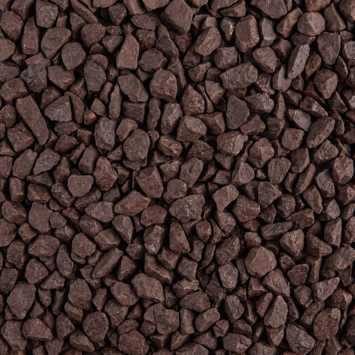 Havana Siergrind, los gestort