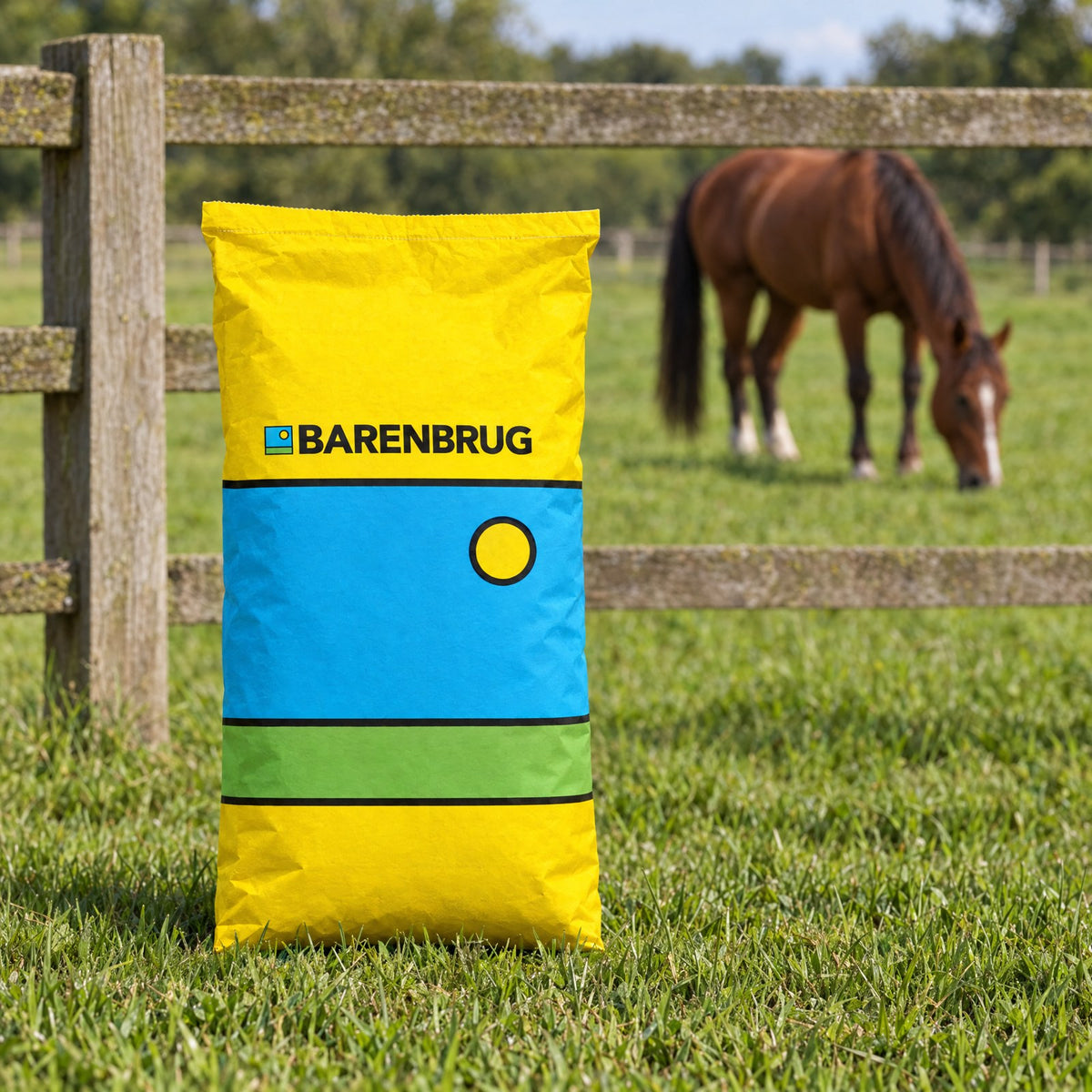 Semences Barenbrug Horse Master pour prairies à chevaux (15 kg)