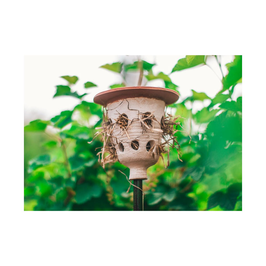 Lieveheersbeestenpot, productfoto op witte achtergrond