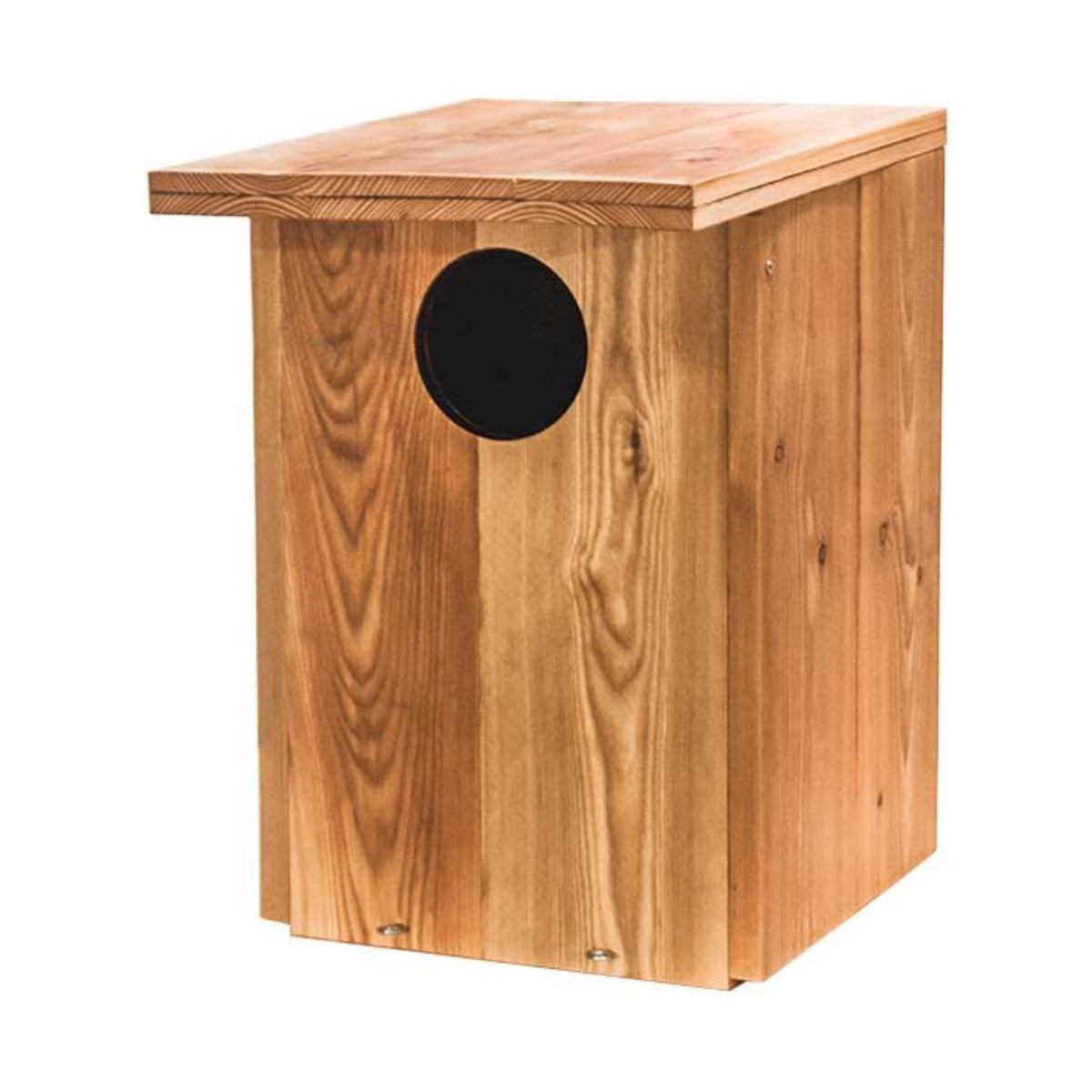Nestkast Bosuil, productfoto op witte achtergrond