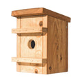Nestkast Eikelmuis, productfoto op witte achtergrond
