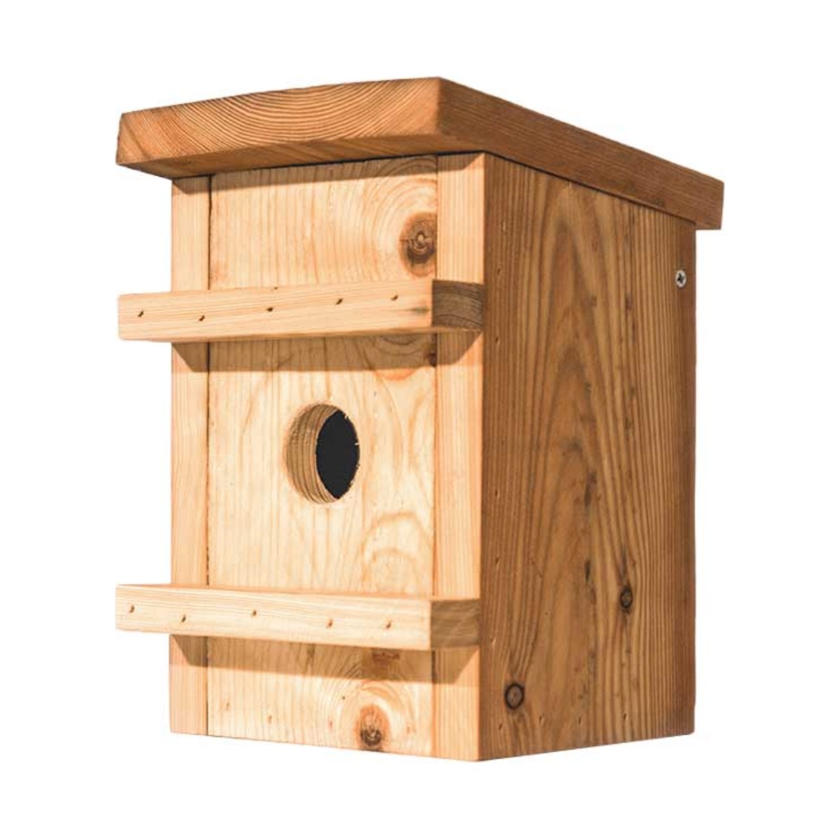 Nestkast Eikelmuis, productfoto op witte achtergrond