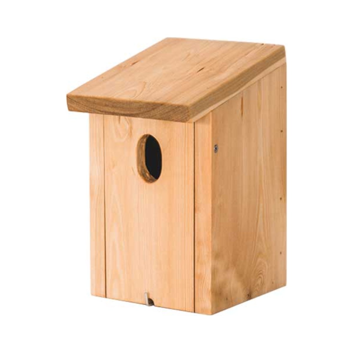 Nestkast Gekraagde roodstaart, productfoto op witte achtergrond