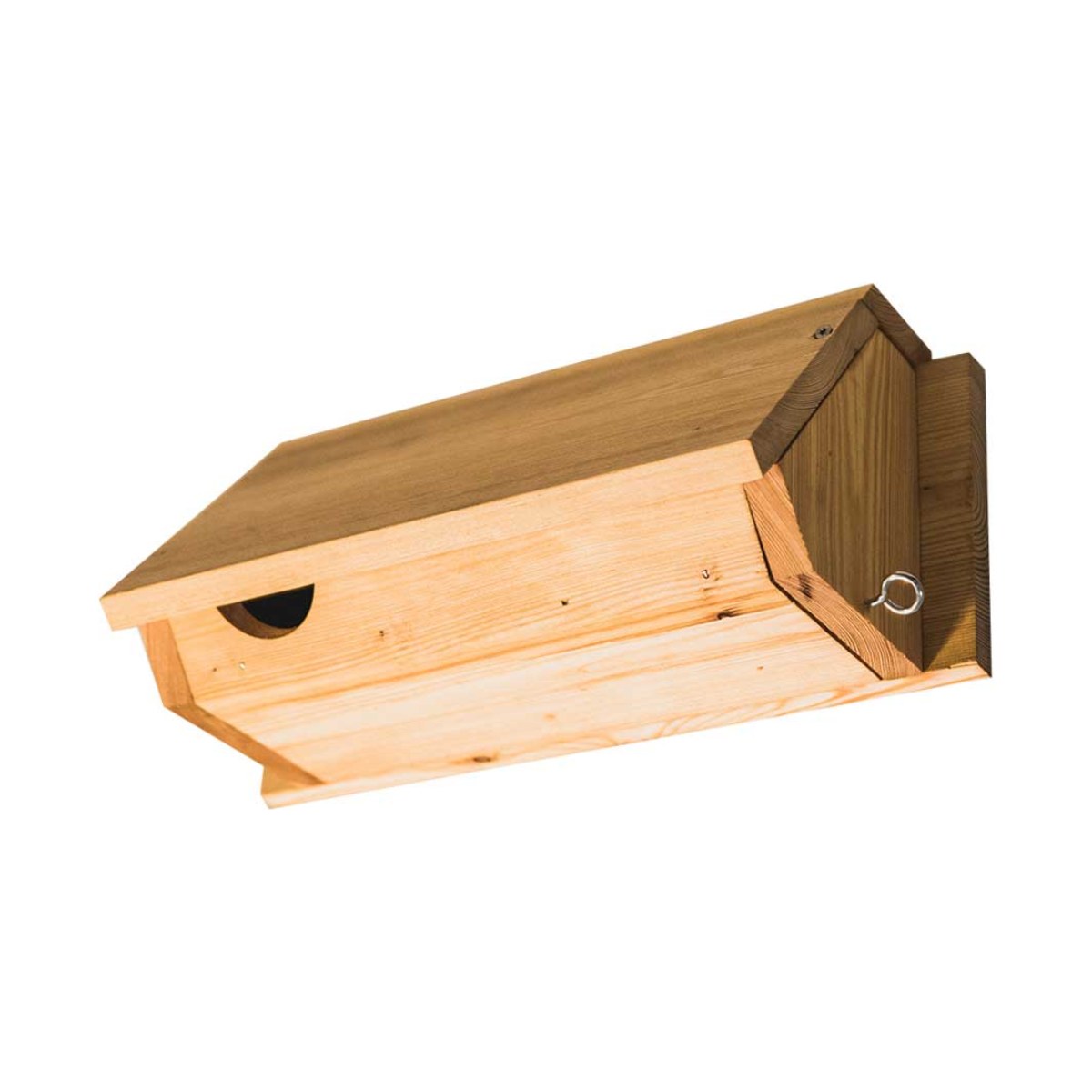 Nestkast Gierzwaluw, productfoto op witte achtergrond