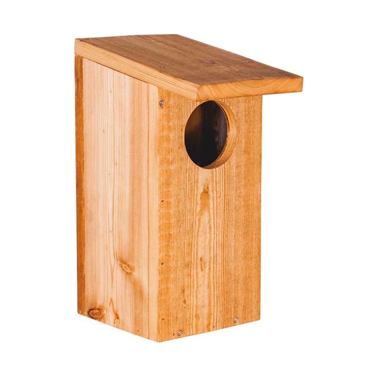 Nestkast Holenduif, productfoto op witte achtergrond
