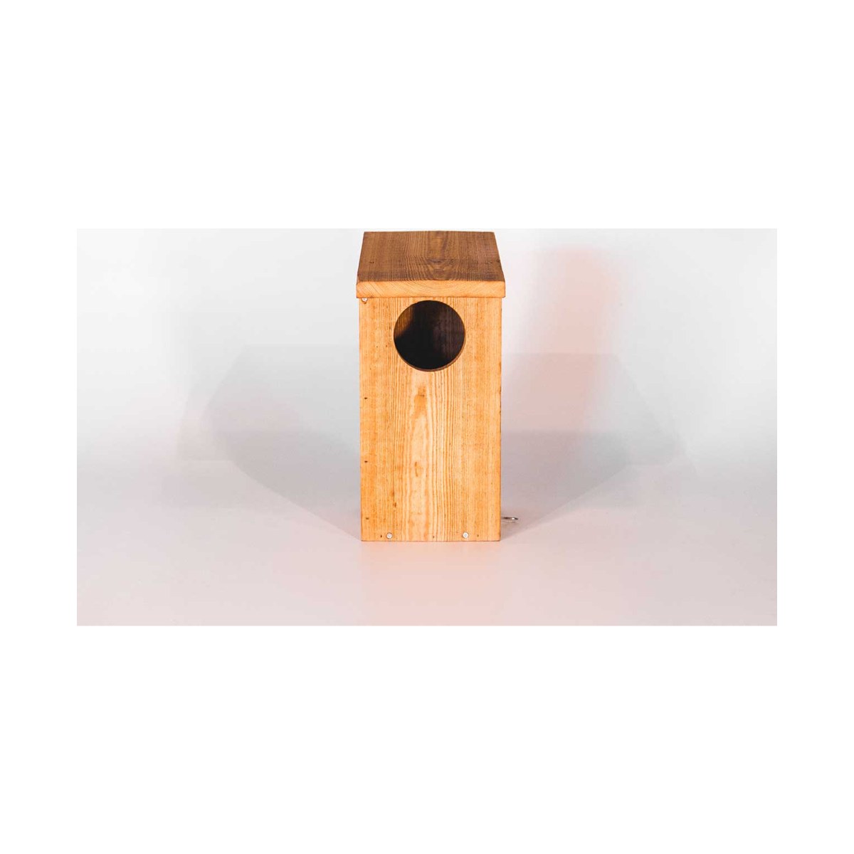 Nestkast Holenduif, productfoto op witte achtergrond